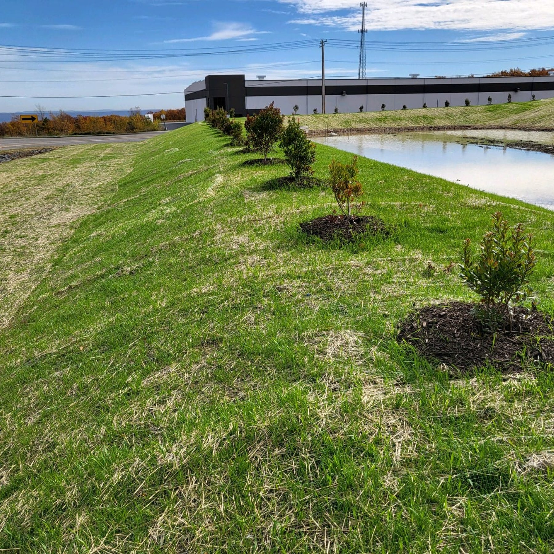 Commercial Retention Pond with Landscaping